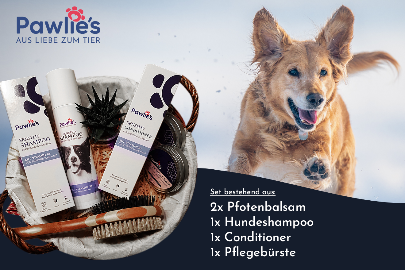 Passend zur Vorstellung der Pawlie´s® Produktpalette hinter dem 5. Türchen unseres Adventskalender Gewinnspiels geht es um ein Pawlie´s®-Set, bestehend aus 2x Pfotenbalsam, einem Hundeshampoo, einem Conditioner und einer Pflegebürste.
