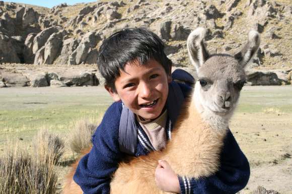 Originell und sinnvoll: Wer ein Lama verschenkt, hilft Kindern und Familien in Bolivien mit wärmender Wolle und sorgt gleichzeitig für eine beglückende Weihnachtsüberraschung.